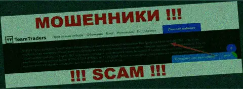Будьте очень бдительны !!! Номер регистрации TeamTraders Ru - 9721090751 может быть фейком