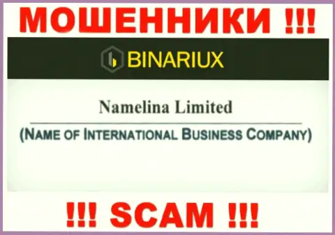 Binariux Net это internet мошенники, а управляет ими Namelina Limited