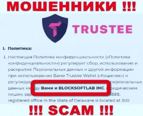 BLOCKSOFTLAB INC руководит компанией Трасти Кошелек - это МОШЕННИКИ !