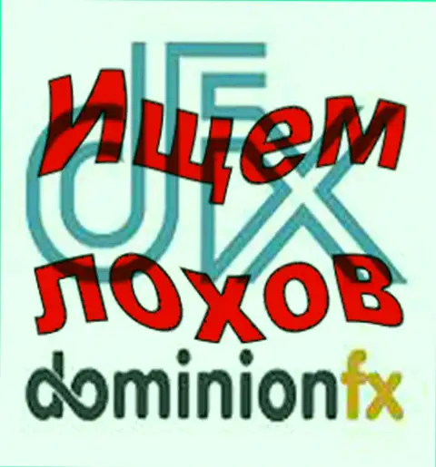 DominionFX - лого Форекс брокерской организации