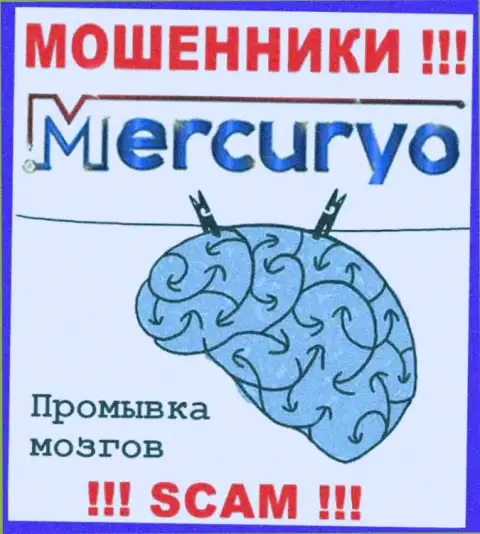 Не дайте internet-мошенникам Mercuryo Co Com подтолкнуть Вас на совместное сотрудничество - обманут
