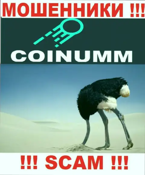 Компания Coinumm не имеет регулятора и лицензии на право осуществления деятельности