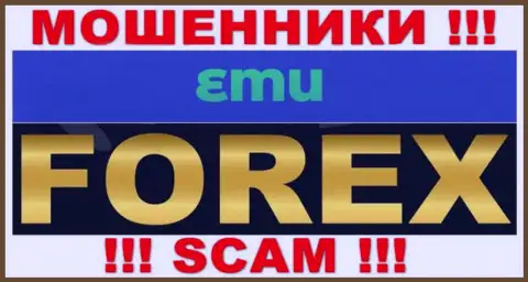 Будьте крайне внимательны, вид деятельности EMU, Forex - это разводняк !!!