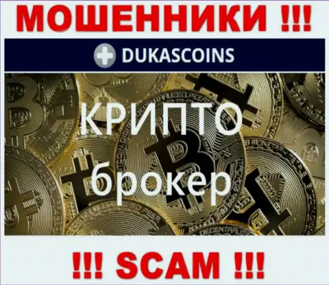 Вид деятельности кидал ДукасКоин Ком - это Crypto trading, но помните это разводняк !!!