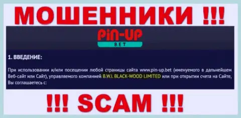 Юридическое лицо компании Pin Up Bet - это B.W.I. BLACK-WOOD LIMITED, информация позаимствована с сайта