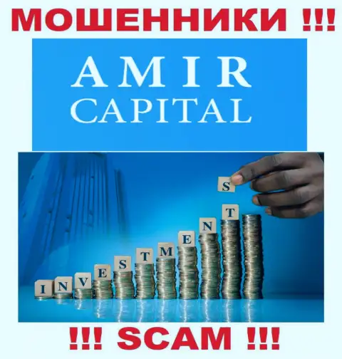 Не переводите средства в Amir Capital, направление деятельности которых - Инвестиции