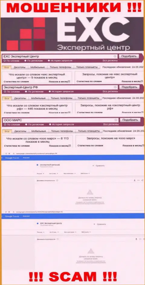 Статистические данные онлайн-запросов по бренду Экспертный Центр России в internet сети