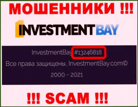 Регистрационный номер, под которым зарегистрирована контора InvestmentBay: 13246818