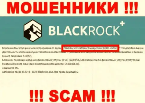 Владельцами Black Rock Plus оказалась организация - BlackRock Investment Management (UK) Ltd