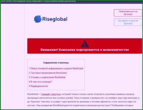 Внимательно изучите предложения совместной работы RiseGlobal, в конторе обманывают (обзор)