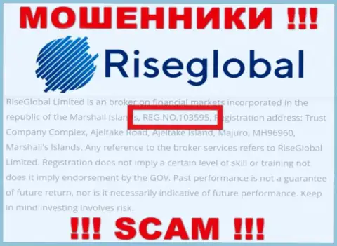 Регистрационный номер Rise Global, который мошенники показали на своей веб-странице: 103595