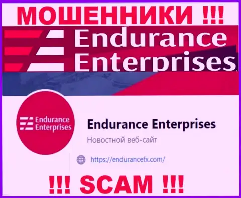 Пообщаться с internet махинаторами из организации Endurance FX Вы сможете, если напишите сообщение на их e-mail