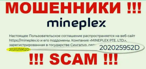 Номер регистрации еще одной противоправно действующей организации MinePlex - 202025952D