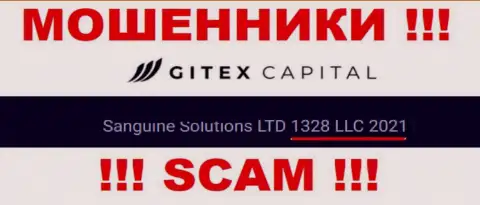 Регистрационный номер организации Gitex Capital: 1328LLC2021