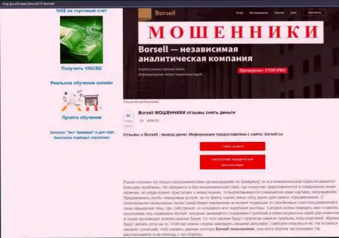 Borsell Ru это МАХИНАТОРЫ !!! Крадут вложенные деньги клиентов (обзор)