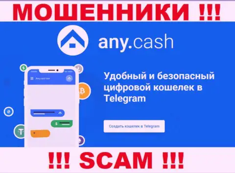 AnyCash - это internet-мошенники, их работа - Криптовалютный кошелек, направлена на присваивание вложенных денежных средств наивных клиентов